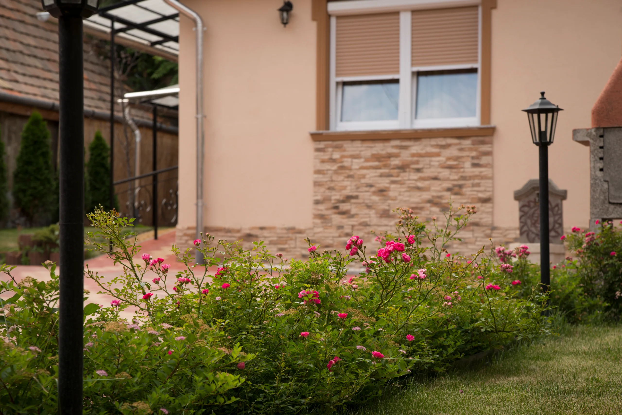 Rózsás virágágyás